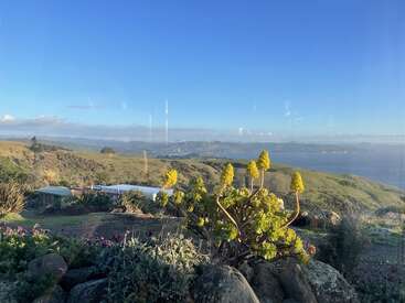 Un paysage serein avec des collines verdoyantes, des plantes grasses à fleurs jaunes au premier plan, quelques maisons et une mer bleue lointaine sous un ciel clair.