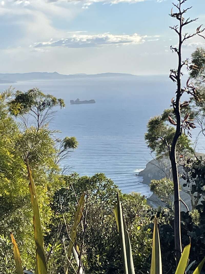 Scène côtière ensoleillée avec un feuillage vert luxuriant encadrant une île rocheuse lointaine dans des eaux bleues calmes, de douces vagues roulant sur un rivage bordé de falaises sous un ciel partiellement nuageux.