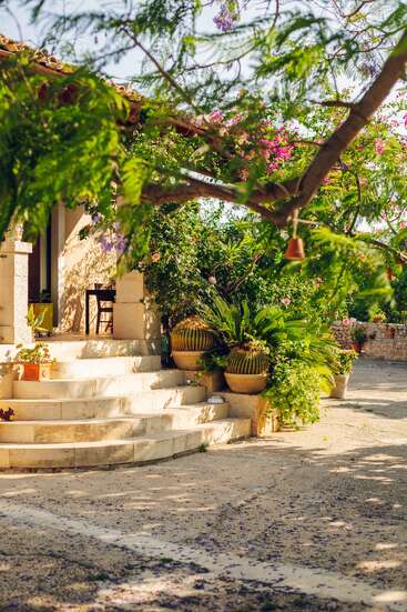 La luz del sol baña los encantadores escalones de piedra que conducen a la entrada de una casa rústica; la exuberante vegetación y las plantas en macetas que la rodean crean un ambiente tranquilo de jardín mediterráneo.