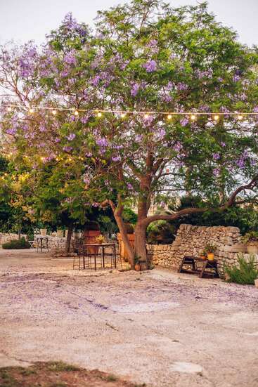 Un precioso patio al aire libre con un árbol de jacarandá en plena floración púrpura, guirnaldas de luces colgando del techo, paredes rústicas de piedra, muebles de metal y un ambiente tranquilo y acogedor.