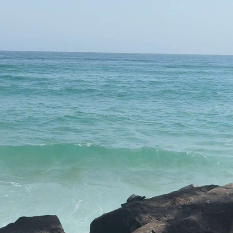 Clear blue ocean waves gently meet the shore. Tree branches hang above, creating a peaceful, tropical scene under a bright, cloudless sky. Calm and relaxing atmosphere.