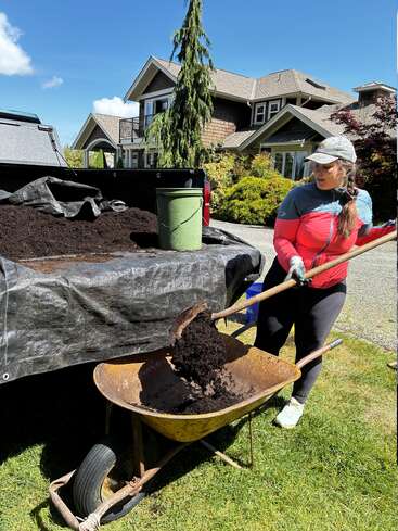 A woman shovels rich dark soil from a truck bed into a wheelbarrow on a sunny day in front of a house, preparing for gardening work.