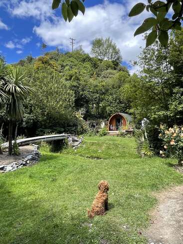 Ein flauschiger brauner Hund sitzt auf einem üppigen grünen Rasen, gegenüber einer kleinen Holzhütte, umgeben von Bäumen, Blumen, einer Brücke und einem strahlend blauen Himmel.