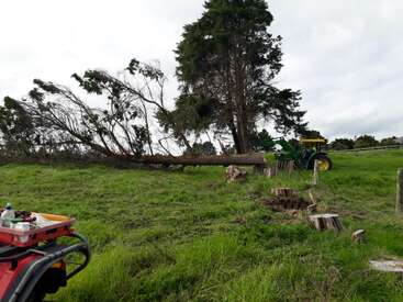 A fallen tree lies on grassy ground beside cut stumps. A green tractor is nearby, and a red vehicle carrying supplies is parked in the foreground.