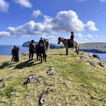 Four people and their horses stand on a grassy hilltop overlooking the ocean, with dramatic cliffs and fluffy clouds beneath a bright blue sky. Serene scenery.