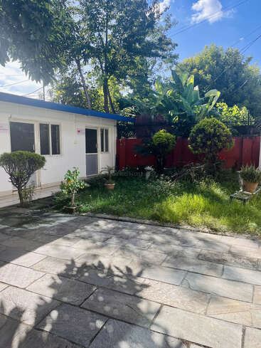Une arrière-cour ensoleillée comprend un patio pavé, de l'herbe verte, diverses plantes, des buissons taillés, une maison blanche avec des fenêtres, une clôture rouge et de grands arbres verts.