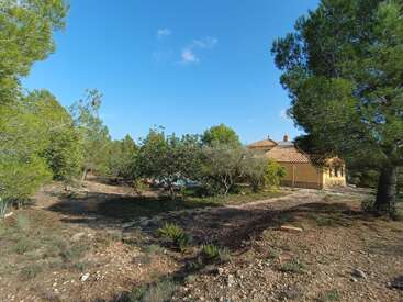 Uma casa amarela com telhado de telha é parcialmente visível entre árvores e arbustos verdes, sob um céu azul claro, em um ambiente rural tranquilo.