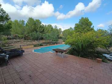 Um pátio sereno com azulejos de terracota tem vista para uma piscina coberta, cercada por árvores verdes exuberantes, plantas, espreguiçadeiras e um céu azul brilhante.