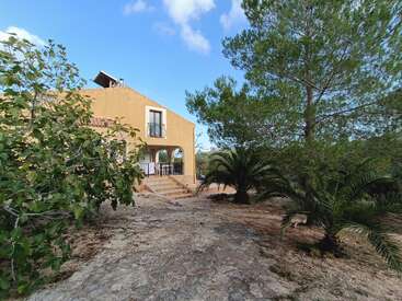 Ein rustikales gelbes Haus steht inmitten üppiger grüner Bäume und Palmen. Ein Steinpfad führt zum Eingang. Blauer Himmel und flauschige Wolken vervollständigen die friedliche Szenerie.