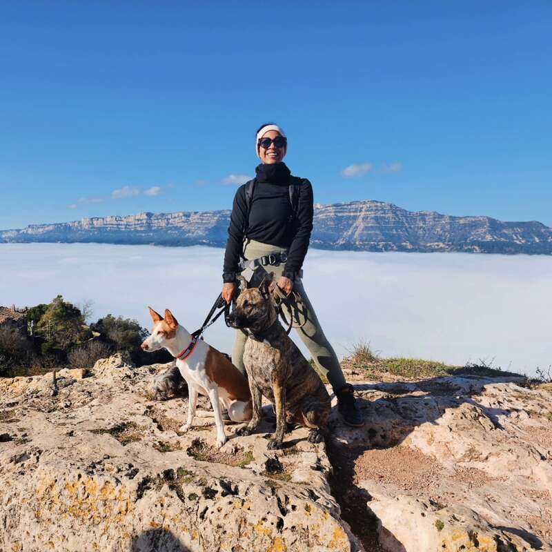 Uma pessoa está sorrindo em um penhasco rochoso com dois cães, com uma vista deslumbrante da montanha acima das nuvens, sob um céu azul claro e brilhante.
