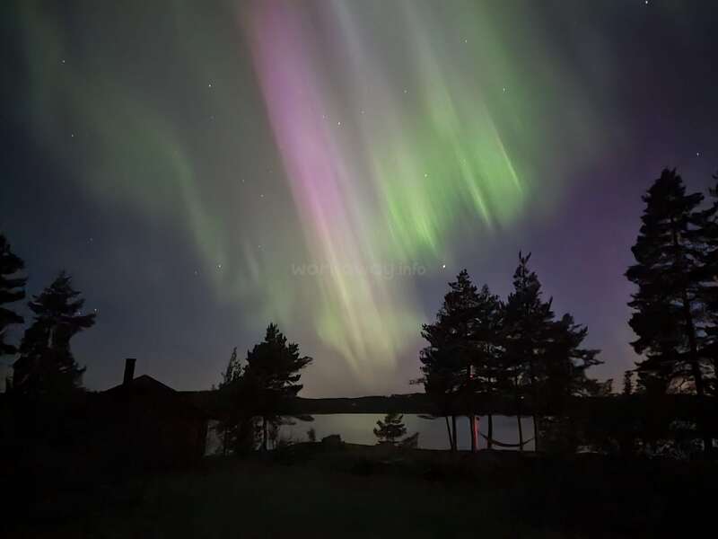 A imagem mostra as vibrantes luzes verdes e roxas do norte iluminando o céu noturno acima de um lago tranquilo, árvores em silhueta e uma cabana escura em primeiro plano.