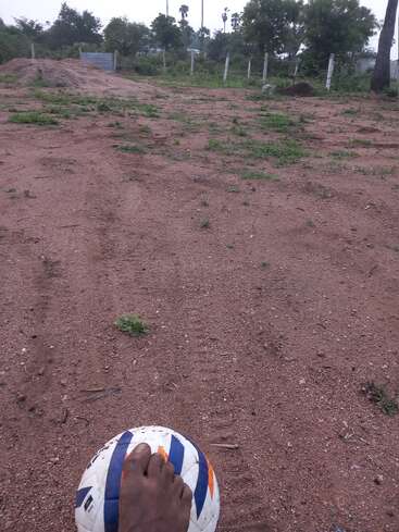 O pé de uma pessoa repousa sobre uma bola de futebol em um campo aberto e empoeirado, com manchas de grama espalhadas, cercado por árvores, uma cerca e céu nublado.