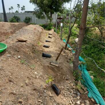 La imagen muestra una hilera de plantones de árboles jóvenes plantados a lo largo de un montículo de tierra, con bolsas de plástico negras, palas, vegetación y una valla cercana visibles.