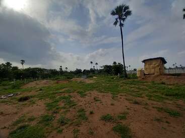 Uma paisagem rural com manchas de grama verde e solo marrom, palmeiras espalhadas, uma pequena cabana, céu nublado e luz do sol parcialmente coberta por nuvens. Cena tranquila.