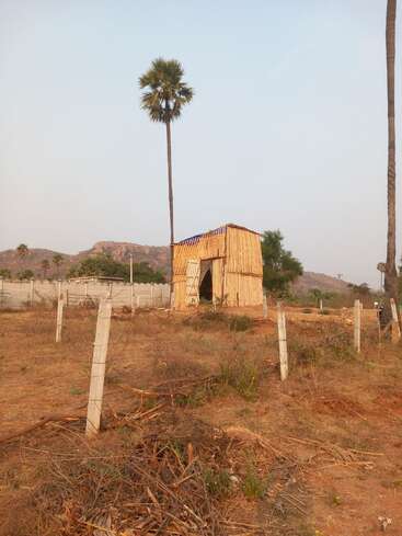 A small, handmade hut stands in a dry, fenced field. Tall palm trees and distant mountains provide a rustic backdrop under a clear, pale sky.