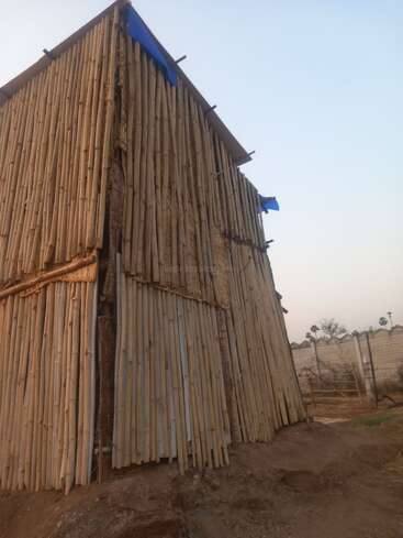 This image shows a simple, tall bamboo structure with a sloping roof, built on bare earth. Blue sheets cover parts of the roof. Fence visible behind.