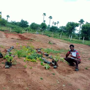 Un hombre está en cuclillas y sonríe junto a unos jóvenes árboles jóvenes dispuestos sobre el suelo, con campos de cultivo, árboles y palmeras visibles al fondo.