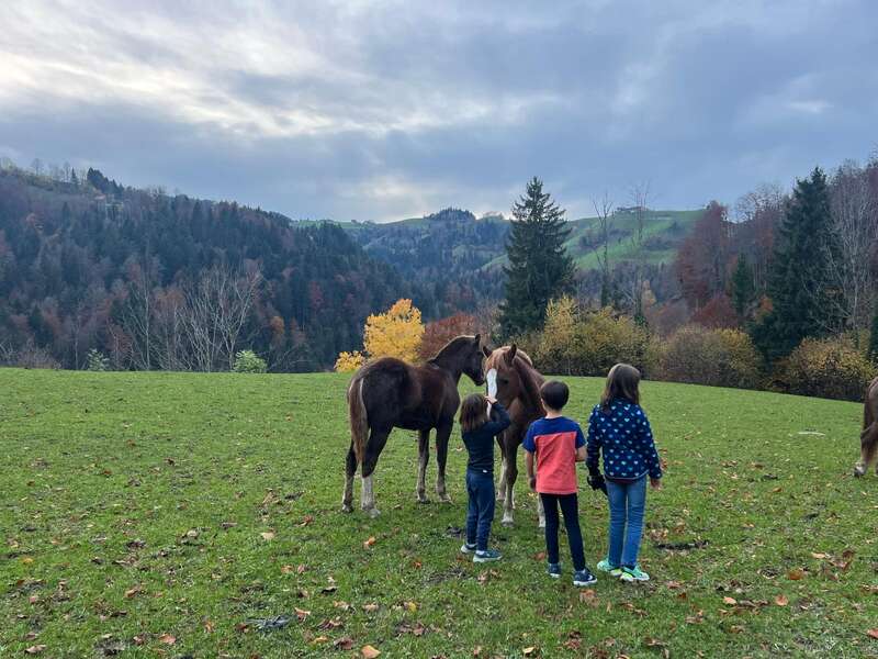 Three children stand in a green field petting two brown horses. Colorful autumn trees and rolling hills create a picturesque, tranquil mountain landscape under a cloudy sky.