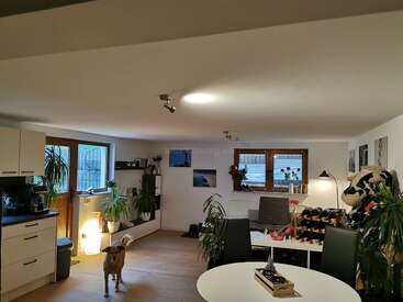 Ein gemütlicher, moderner Wohnraum mit Holzböden, zahlreichen Grünpflanzen, einem Esstisch, einem Hund, einem Bücherregal, Wandkunst und hellem Tageslicht aus den Fenstern.