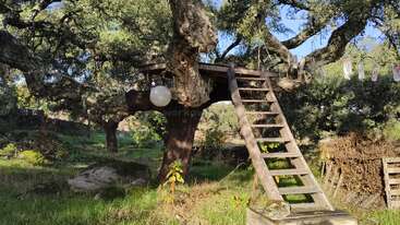 Una rústica casa en el árbol de madera se encuentra enclavada entre robustas ramas, a la que se accede por una escalera de madera. Cerca cuelga una lámpara redonda, y encima hay ropa tendida en un tendedero.
