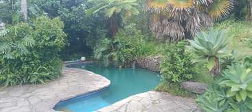 Una piscina aislada se curva suavemente en medio de exuberantes plantas y árboles tropicales, rodeada de pavimento de piedra, creando un oasis de jardín tranquilo, natural y relajante.