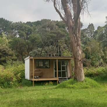 Una pequeña y sencilla cabaña de madera se asienta en un frondoso y verde claro rodeado de altos árboles y denso follaje bajo un cielo nublado, creando una atmósfera apacible.