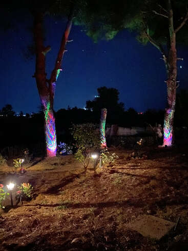 Uma cena noturna no jardim mostra luzes coloridas iluminando troncos de árvores e pequenos arbustos. Lâmpadas suaves de jardim criam um caminho aconchegante e convidativo sob um céu estrelado.