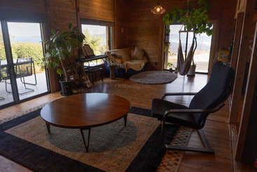 A cozy wooden living room with large windows, plants, a round coffee table, armchair, sofa, hammock chair, rugs, and patio view, filled with natural light.