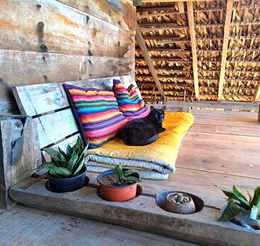 A cozy rustic wooden bench with colorful cushions and a yellow mat hosts a relaxed black cat. Potted plants decorate the foreground, beneath a thatched roof.