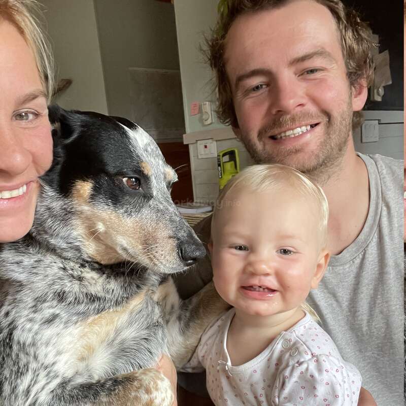 Una familia feliz posa para una selfie en la que aparecen una mujer y un hombre sonrientes, un bebé y un adorable perro blanco y negro, todos muy juntos en el interior de una casa.