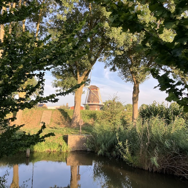 A charming windmill stands in the distance, framed by tall trees and lush greenery. A calm waterway reflects the peaceful, sunny summer landscape.