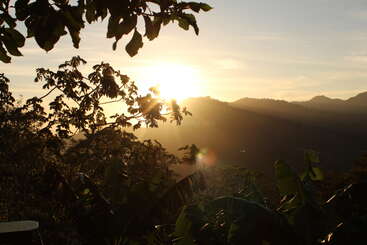Bei Sonnenaufgang fällt goldenes Sonnenlicht durch die Blätter der Bäume und taucht eine üppige, grüne Landschaft mit Bergen im Hintergrund unter einem klaren, sanft leuchtenden Himmel in Licht. Friedliche Gelassenheit.