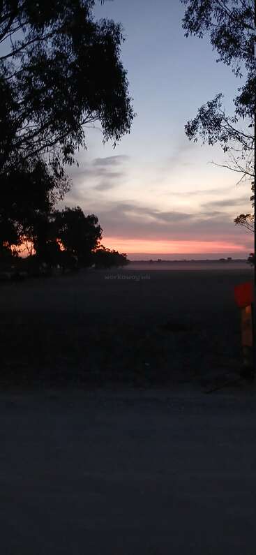 This image captures a peaceful rural sunset, with silhouetted trees framing the horizon. The sky glows with soft pastel hues, creating a tranquil atmosphere.