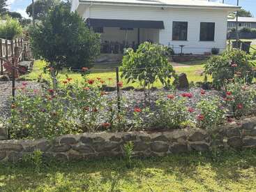A charming white house with a porch, surrounded by a lush yard. A stone-bordered flower bed, filled with red blooms, is fenced in front.