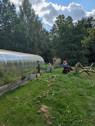Três pessoas trabalham em um jardim exuberante com canteiros elevados e uma estufa de plástico. Árvores altas e um gramado cercam a tranquila cena ao ar livre sob um céu parcialmente nublado.