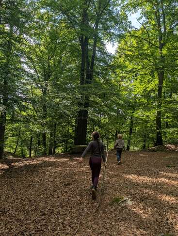 Duas crianças caminham por uma floresta iluminada pelo sol, repleta de árvores altas e verdes, pisando em um tapete de folhas secas, explorando a natureza em um dia tranquilo juntas.