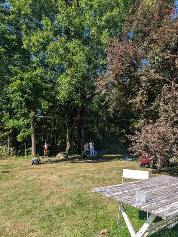 Um quintal ensolarado com árvores verdes, uma mesa de madeira, cadeiras, crianças brincando, um balanço e veículos de brinquedo. A cena parece animada e descontraída ao ar livre.