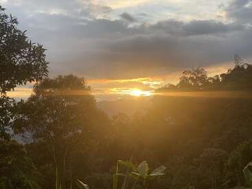 A golden sunset illuminates the lush, green forest and distant mountains. Soft sunlight streams through the trees, while dramatic clouds fill the peaceful evening sky.