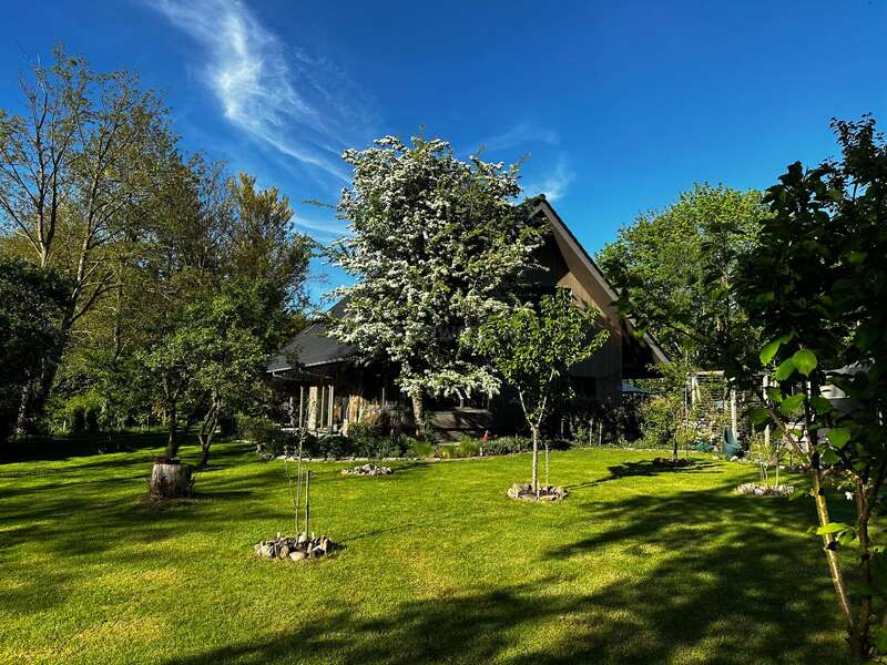 Ein gemütliches Haus steht inmitten üppiger grüner Bäume und eines gepflegten Rasens, unter einem strahlend blauen Himmel mit Wolkenfetzen, der Frieden und Ruhe ausstrahlt.