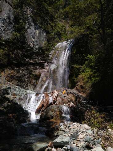 A picturesque waterfall cascades down a rocky cliff surrounded by lush greenery. Sunlight filters through the trees, highlighting vibrant foliage and creating a tranquil, natural scene.