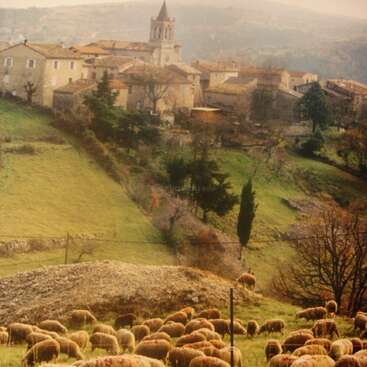 The image depicts a serene rural scene featuring a flock of sheep grazing in a field, with a small village and church in the background, set against a hazy sky.