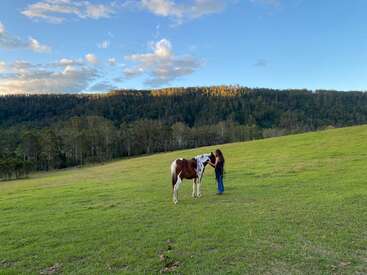 A woman stands on a grassy hill with a brown and white horse, surrounded by expansive green fields, forests, and a bright, blue sky with clouds.