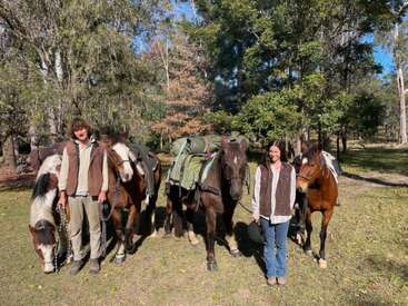 Two people stand outdoors with four pack horses loaded with green saddlebags. The scene is sunny, surrounded by tall trees and shadowy forest in the background.