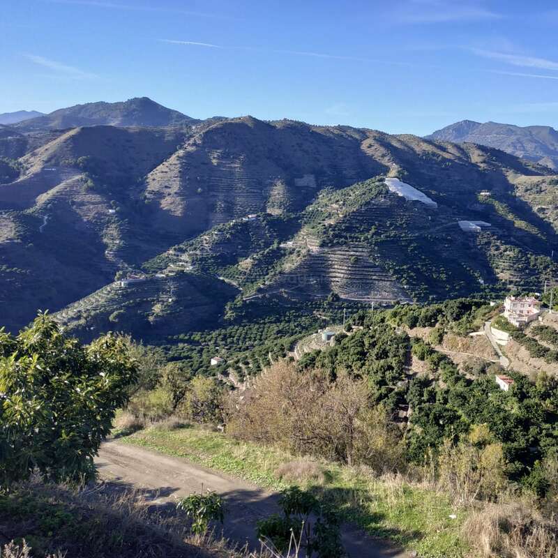 Das Bild zeigt eine ruhige Berglandschaft mit üppigem Grün, einer gewundenen Schotterstraße, terrassierten Hügeln und entfernten Gebäuden vor einem klaren blauen Himmel.