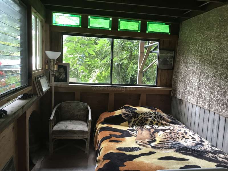 Help with gardening, fruit tree nursery and around the house in