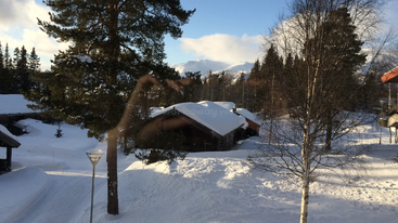 A snowy landscape with wooden cabins, tall trees, and mountains in the background. Clear blue sky, sunlight casting shadows, and peaceful winter scenery with untouched snow.