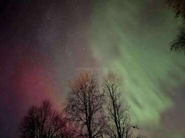 Leafless trees stand silhouetted against the night sky, while green and red auroras dance above, illuminating countless stars in this breathtaking natural landscape scene.