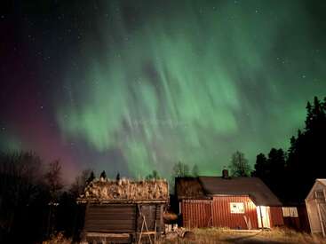 Eine Holzhütte mit Grasdach steht unter einem spektakulären Nachthimmel, der von den grün schimmernden Nordlichtern erhellt wird, umgeben von Bäumen und leuchtenden Sternen.