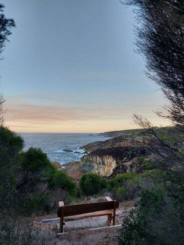 Un banco de madera con vistas a una costa escarpada con impresionantes acantilados, exuberante vegetación y un tranquilo océano bajo un cielo pastel al atardecer, enmarcado por los arbustos circundantes.