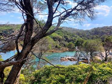 Una tranquila bahía rodeada de un frondoso bosque verde, aguas cristalinas de color turquesa, una playa de arena y un muelle de madera, vista a través de las ramas de los árboles bajo un cielo azul.